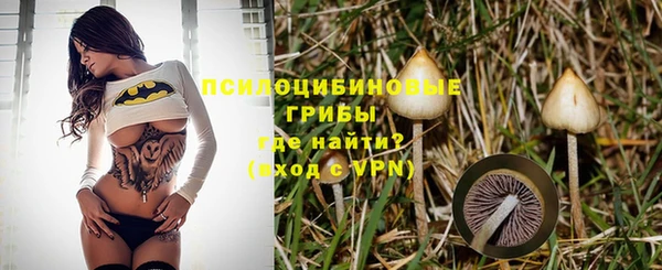 МДПВ Нефтекумск